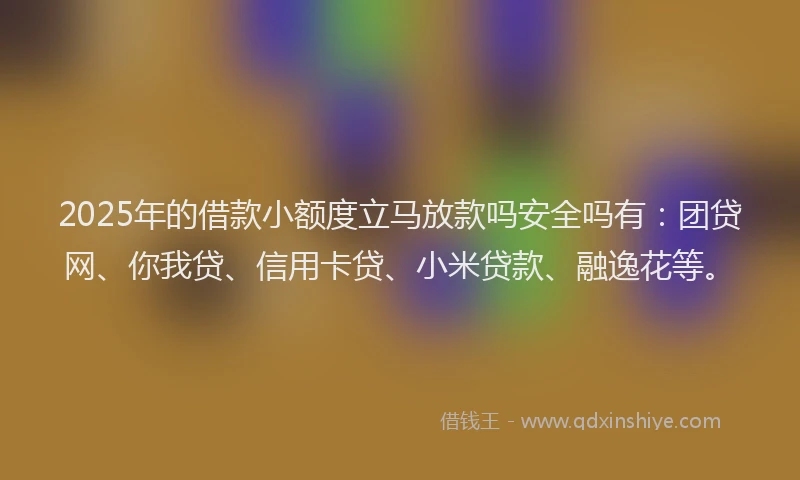 2025年的借款小额度立马放款吗安全吗有：团贷网、你我贷、信用卡贷、小米贷款、融逸花等。