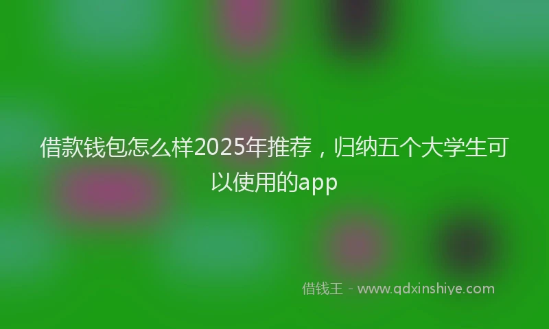 借款钱包怎么样2025年推荐，归纳五个大学生可以使用的app