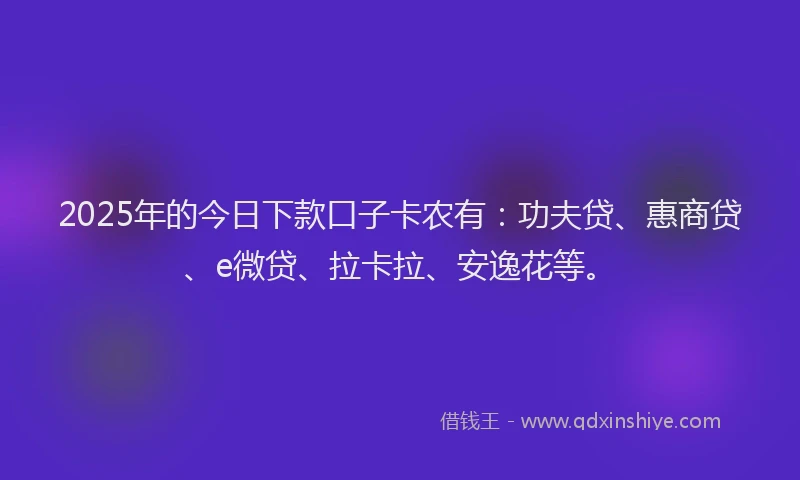 2025年的今日下款口子卡农有：功夫贷、惠商贷、e微贷、拉卡拉、安逸花等。