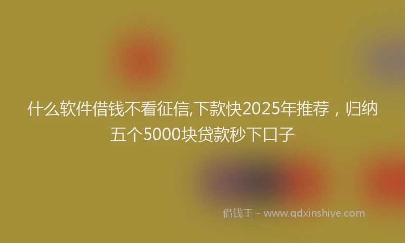 什么软件借钱不看征信,下款快2025年推荐，归纳五个5000块贷款秒下口子