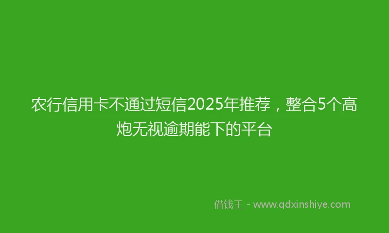 农行信用卡不通过短信2025年推荐，整合5个高炮无视逾期能下的平台