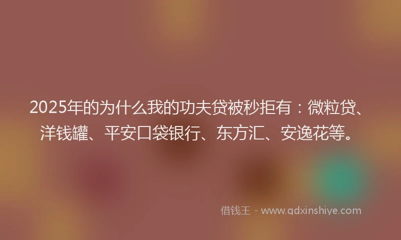 2025年的为什么我的功夫贷被秒拒有：微粒贷、洋钱罐、平安口袋银行、东方汇、安逸花等。