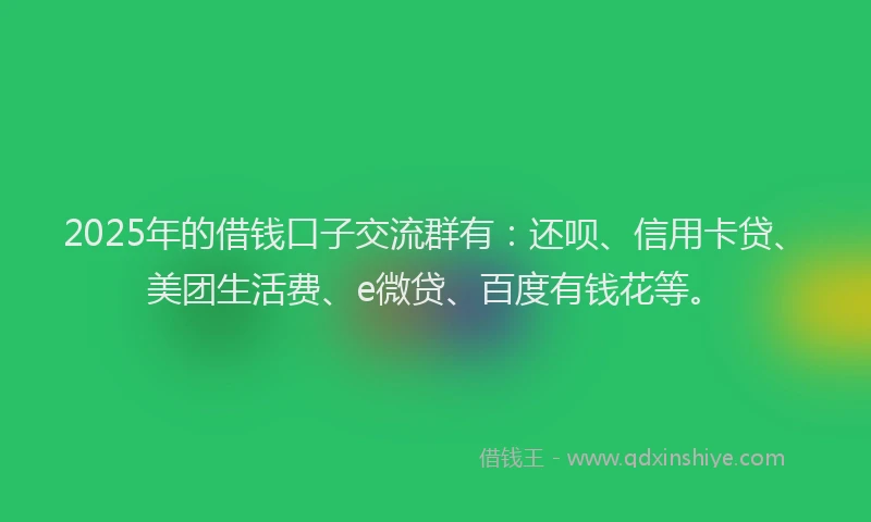 2025年的借钱口子交流群有：还呗、信用卡贷、美团生活费、e微贷、百度有钱花等。