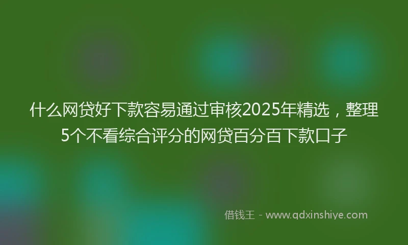 什么网贷好下款容易通过审核2025年精选，整理5个不看综合评分的网贷百分百下款口子