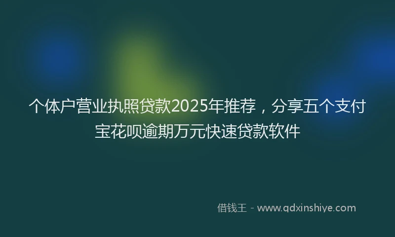 个体户营业执照贷款2025年推荐，分享五个支付宝花呗逾期万元快速贷款软件