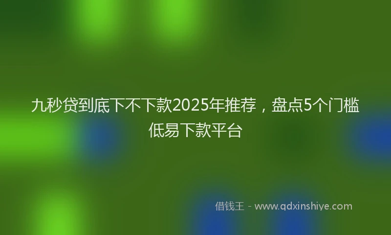 九秒贷到底下不下款2025年推荐，盘点5个门槛低易下款平台