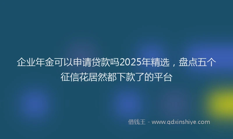 企业年金可以申请贷款吗2025年精选，盘点五个征信花居然都下款了的平台