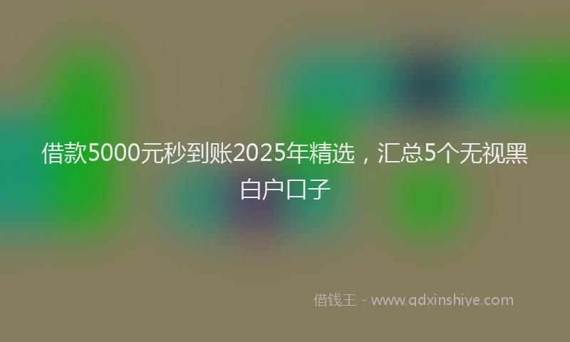 借款5000元秒到账2025年精选，汇总5个无视黑白户口子
