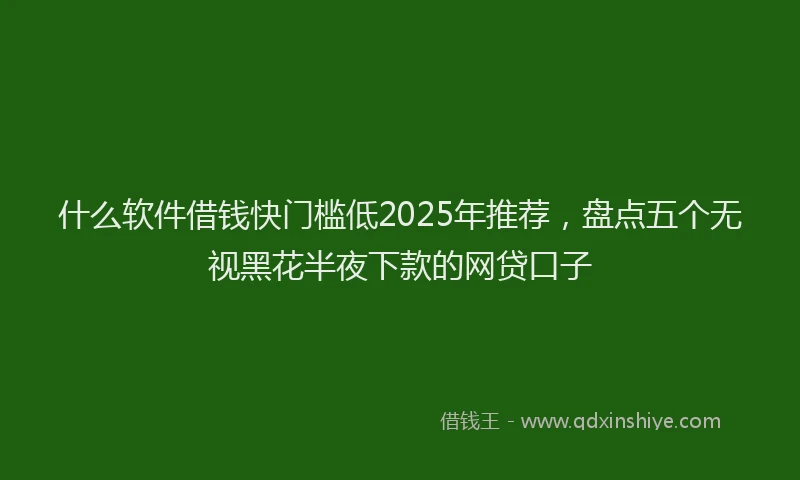 什么软件借钱快门槛低2025年推荐，盘点五个无视黑花半夜下款的网贷口子