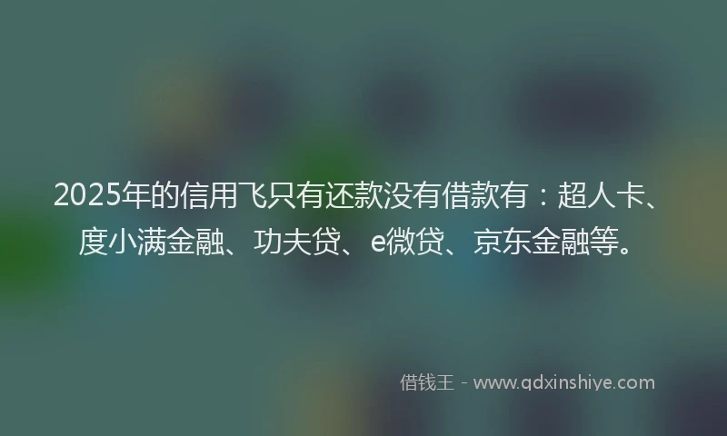 2025年的信用飞只有还款没有借款有：超人卡、度小满金融、功夫贷、e微贷、京东金融等。
