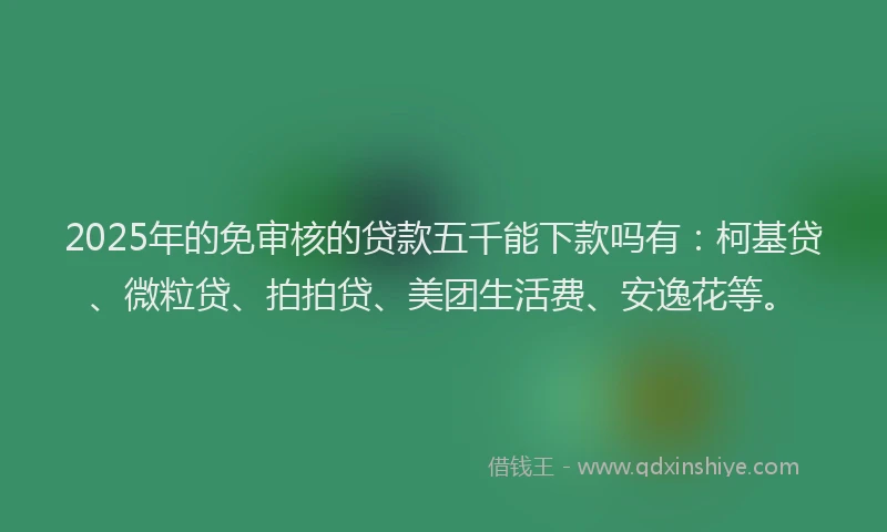 2025年的免审核的贷款五千能下款吗有：柯基贷、微粒贷、拍拍贷、美团生活费、安逸花等。