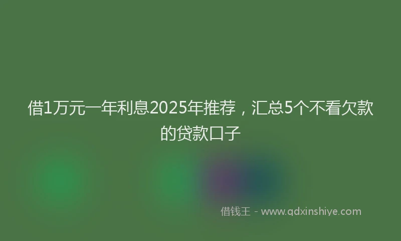 借1万元一年利息2025年推荐，汇总5个不看欠款的贷款口子