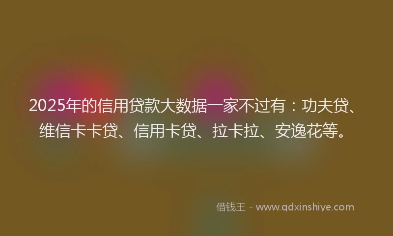 2025年的信用贷款大数据一家不过有：功夫贷、维信卡卡贷、信用卡贷、拉卡拉、安逸花等。