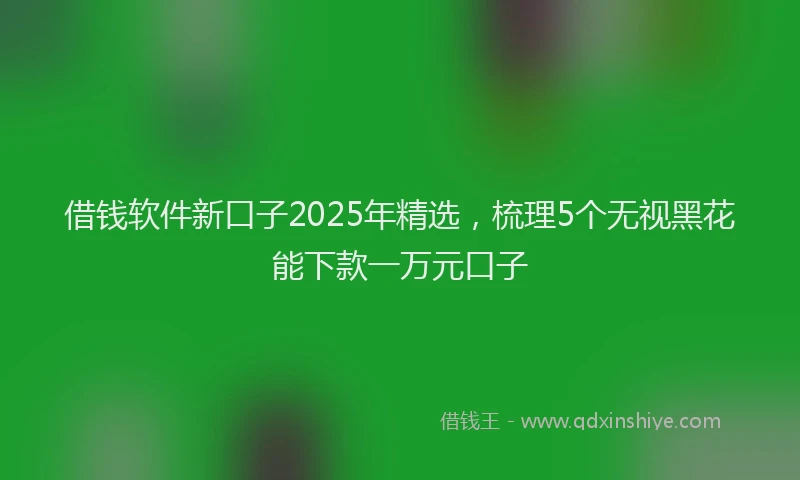 借钱软件新口子2025年精选，梳理5个无视黑花能下款一万元口子