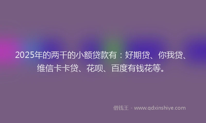 2025年的两千的小额贷款有：好期贷、你我贷、维信卡卡贷、花呗、百度有钱花等。