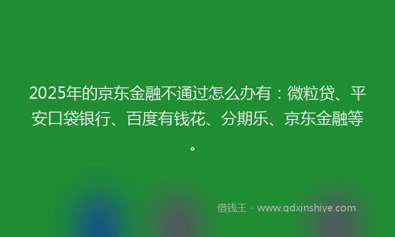 2025年的京东金融不通过怎么办有：微粒贷、平安口袋银行、百度有钱花、分期乐、京东金融等。