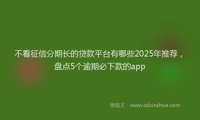 不看征信分期长的贷款平台有哪些2025年推荐，盘点5个逾期必下款的app