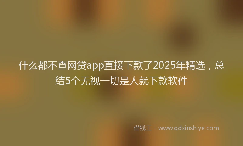 什么都不查网贷app直接下款了2025年精选，总结5个无视一切是人就下款软件