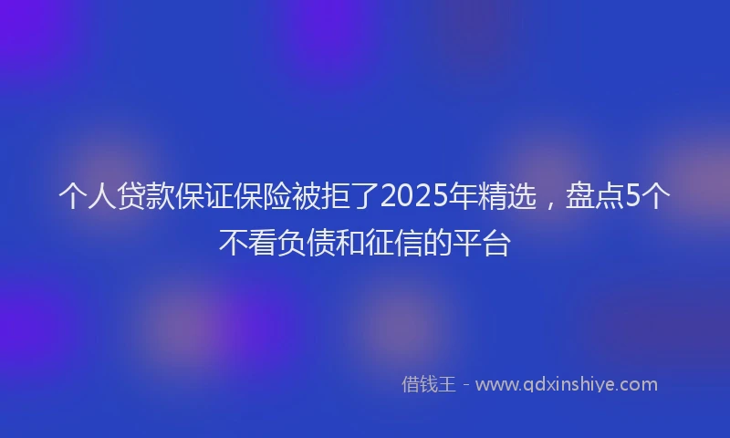 个人贷款保证保险被拒了2025年精选，盘点5个不看负债和征信的平台
