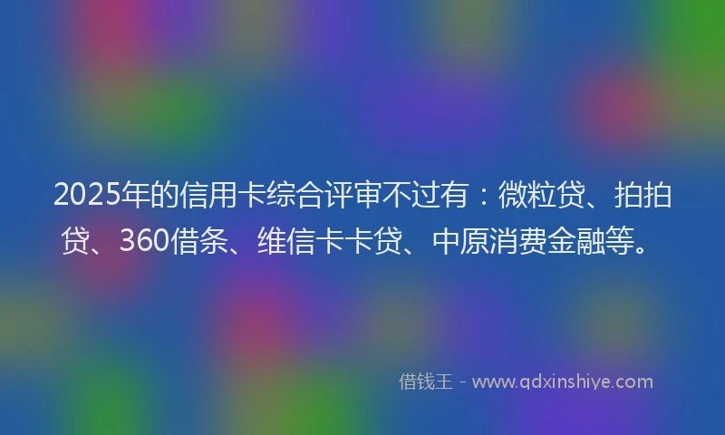 2025年的信用卡综合评审不过有：微粒贷、拍拍贷、360借条、维信卡卡贷、中原消费金融等。