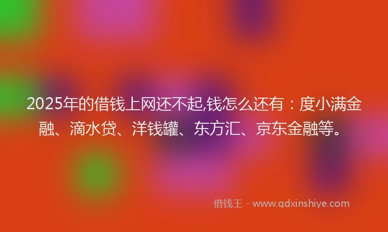 2025年的借钱上网还不起,钱怎么还有：度小满金融、滴水贷、洋钱罐、东方汇、京东金融等。