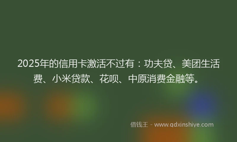 2025年的信用卡激活不过有：功夫贷、美团生活费、小米贷款、花呗、中原消费金融等。