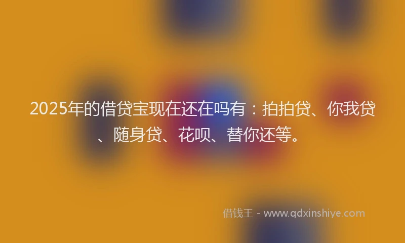 2025年的借贷宝现在还在吗有：拍拍贷、你我贷、随身贷、花呗、替你还等。