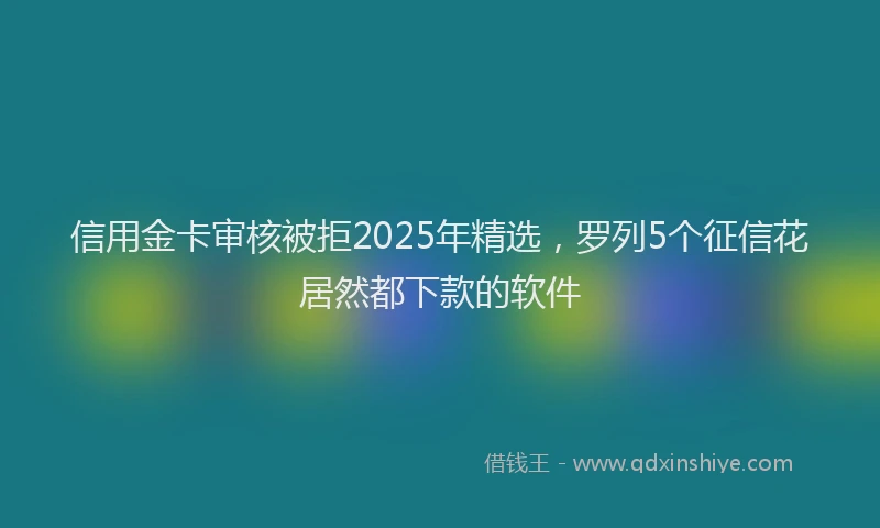 信用金卡审核被拒2025年精选，罗列5个征信花居然都下款的软件