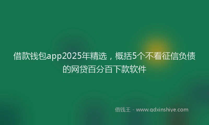 借款钱包app2025年精选，概括5个不看征信负债的网贷百分百下款软件