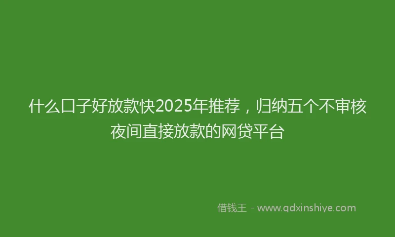 什么口子好放款快2025年推荐，归纳五个不审核夜间直接放款的网贷平台