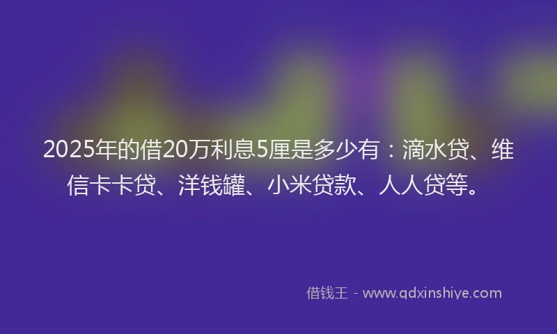 2025年的借20万利息5厘是多少有：滴水贷、维信卡卡贷、洋钱罐、小米贷款、人人贷等。