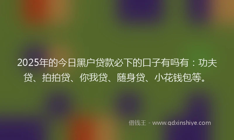 2025年的今日黑户贷款必下的口子有吗有：功夫贷、拍拍贷、你我贷、随身贷、小花钱包等。