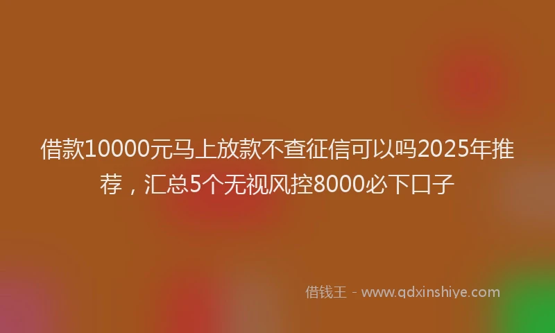 借款10000元马上放款不查征信可以吗2025年推荐，汇总5个无视风控8000必下口子