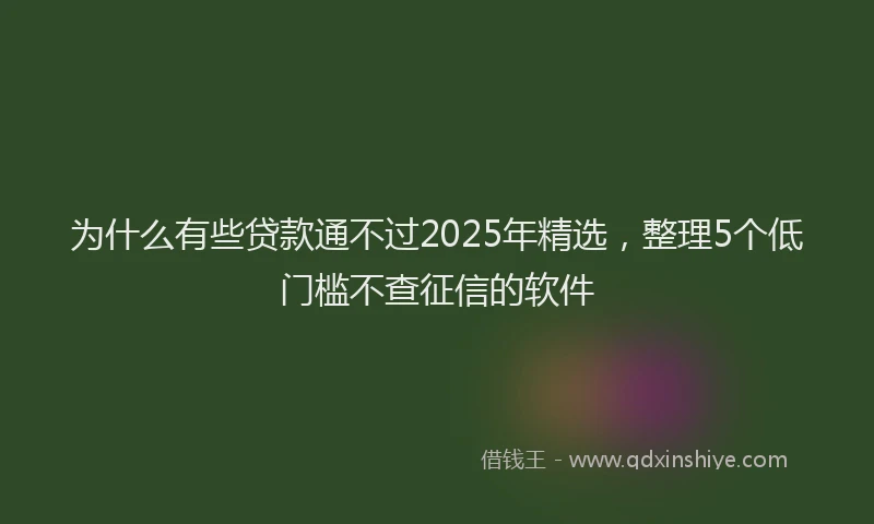 为什么有些贷款通不过2025年精选，整理5个低门槛不查征信的软件