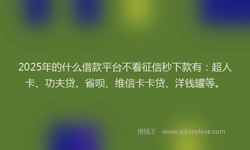 2025年的什么借款平台不看征信秒下款有：超人卡、功夫贷、省呗、维信卡卡贷、洋钱罐等。