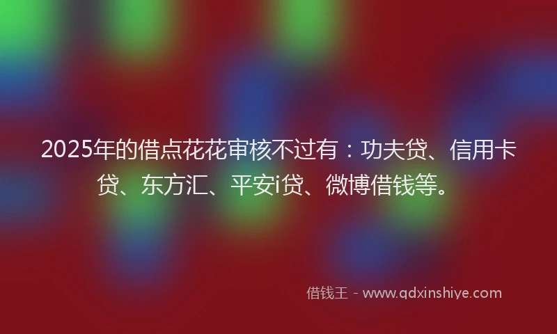 2025年的借点花花审核不过有：功夫贷、信用卡贷、东方汇、平安i贷、微博借钱等。
