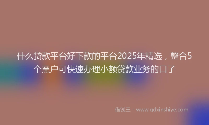 什么贷款平台好下款的平台2025年精选，整合5个黑户可快速办理小额贷款业务的口子