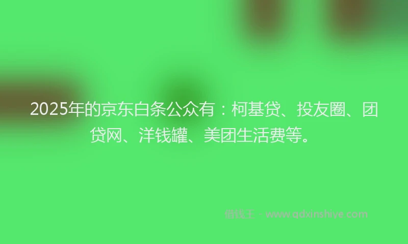 2025年的京东白条公众有：柯基贷、投友圈、团贷网、洋钱罐、美团生活费等。