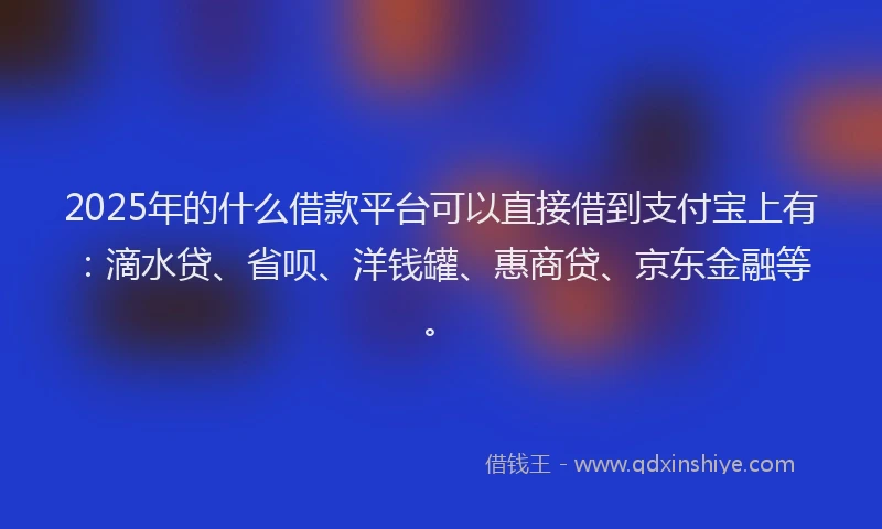 2025年的什么借款平台可以直接借到支付宝上有：滴水贷、省呗、洋钱罐、惠商贷、京东金融等。