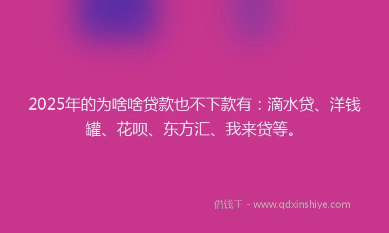2025年的为啥啥贷款也不下款有：滴水贷、洋钱罐、花呗、东方汇、我来贷等。