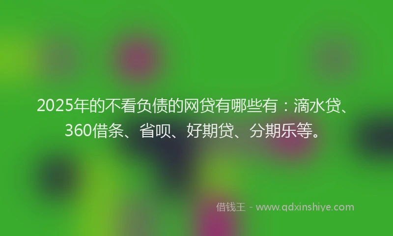 2025年的不看负债的网贷有哪些有：滴水贷、360借条、省呗、好期贷、分期乐等。