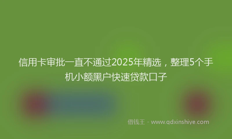 信用卡审批一直不通过2025年精选，整理5个手机小额黑户快速贷款口子