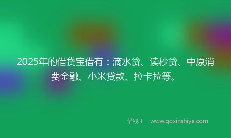 2025年的借贷宝借有:滴水贷、读秒贷、中原消费金融、小米贷款、拉卡拉等。