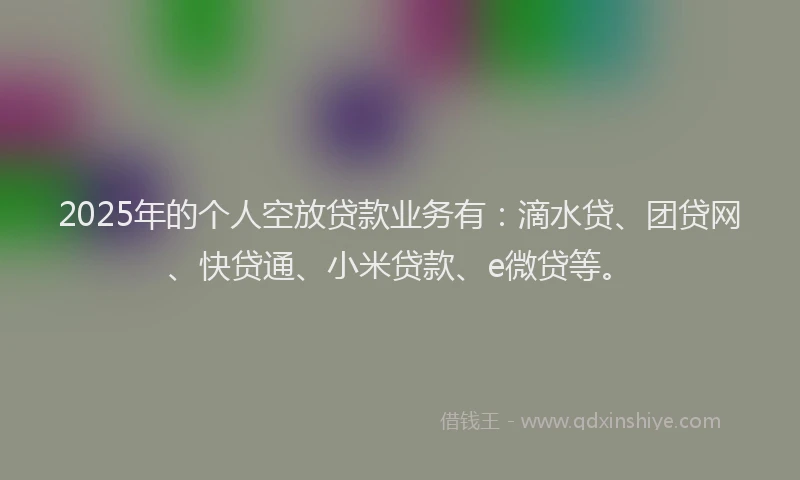2025年的个人空放贷款业务有：滴水贷、团贷网、快贷通、小米贷款、e微贷等。