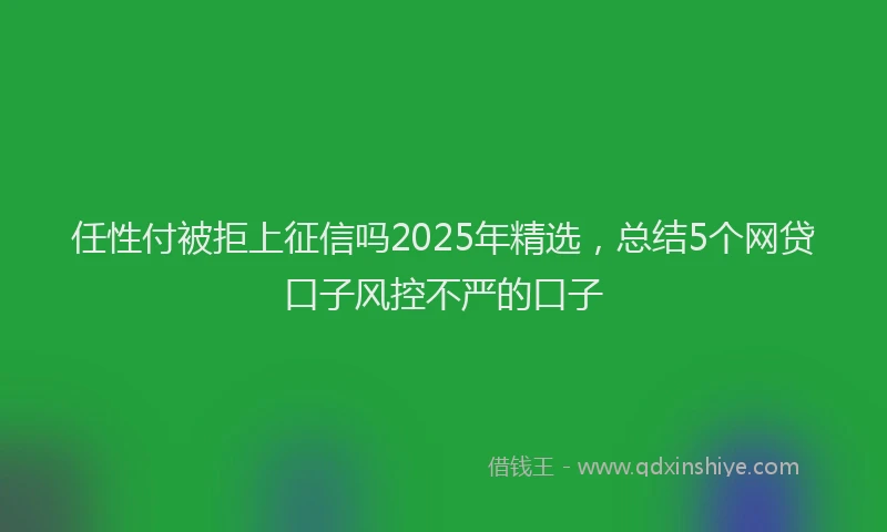 任性付被拒上征信吗2025年精选，总结5个网贷口子风控不严的口子