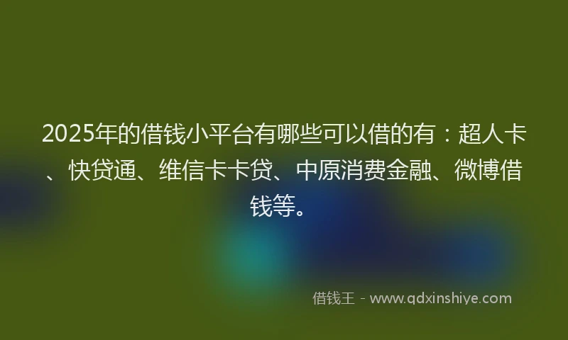 2025年的借钱小平台有哪些可以借的有：超人卡、快贷通、维信卡卡贷、中原消费金融、微博借钱等。