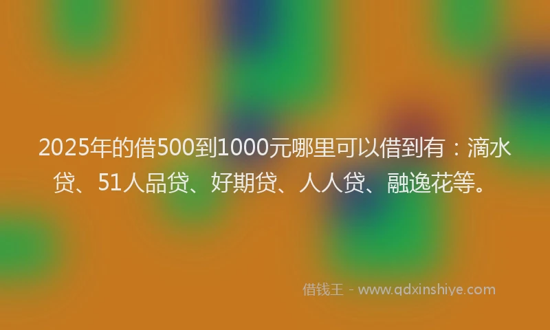 2025年的借500到1000元哪里可以借到有：滴水贷、51人品贷、好期贷、人人贷、融逸花等。