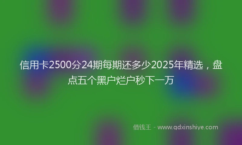 信用卡2500分24期每期还多少2025年精选，盘点五个黑户烂户秒下一万