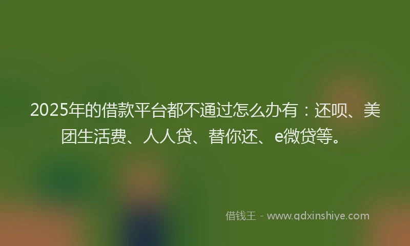 2025年的借款平台都不通过怎么办有：还呗、美团生活费、人人贷、替你还、e微贷等。