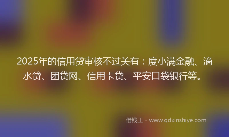 2025年的信用贷审核不过关有：度小满金融、滴水贷、团贷网、信用卡贷、平安口袋银行等。